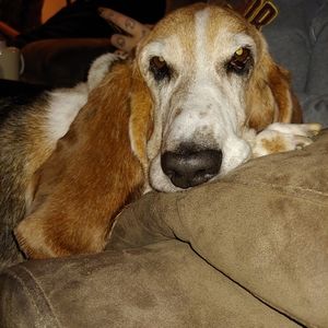 Meet your Posher, Beth